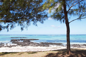 mauritius