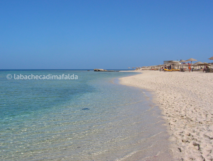 spiaggia abu dabbab mar rosso
