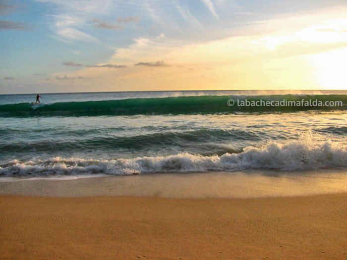 anse salines martinica