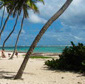 anse michel martinica