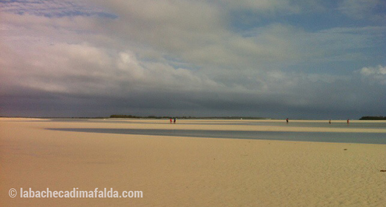 casuarina point abaco