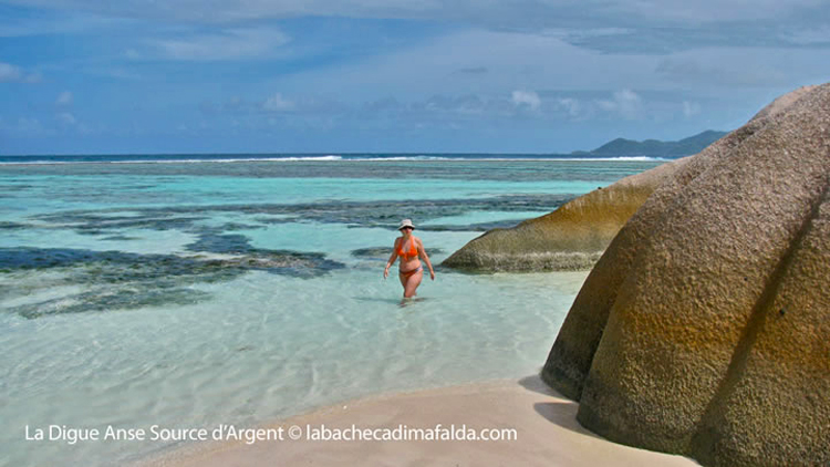 seychelles parco marino sain'anne