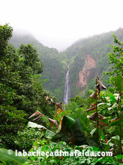 CHUTE DU CARBET guadalupa