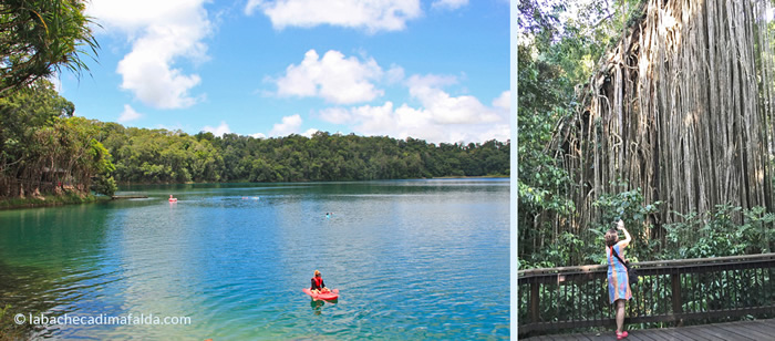 lake eacham queensland