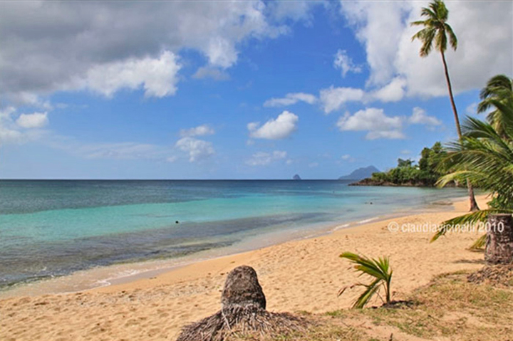 anse figuier martinica