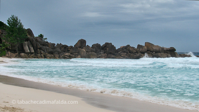anse salines martinica