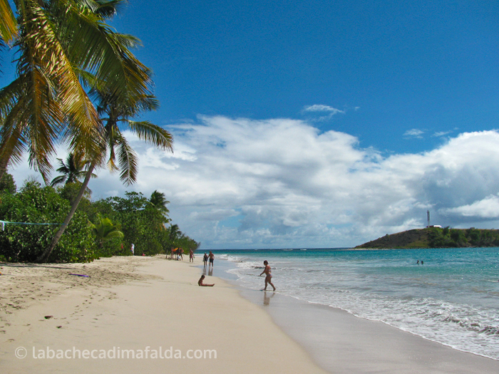 anse salines martinica