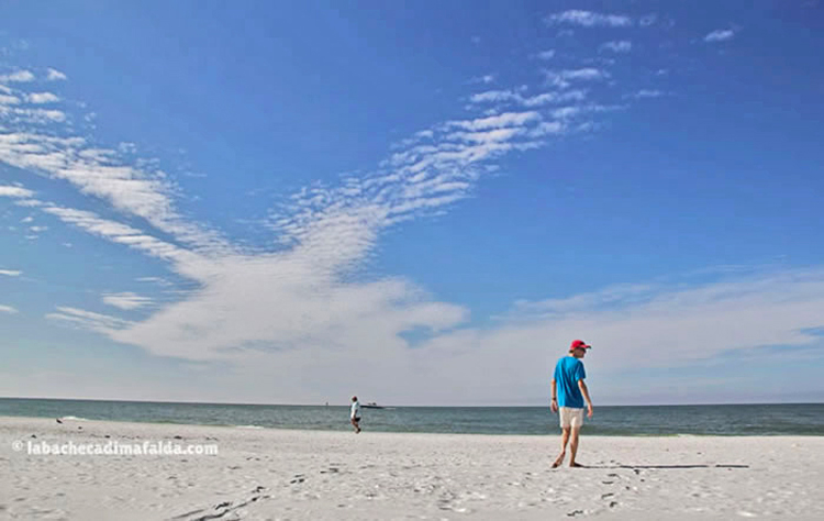 siesta key beach florida