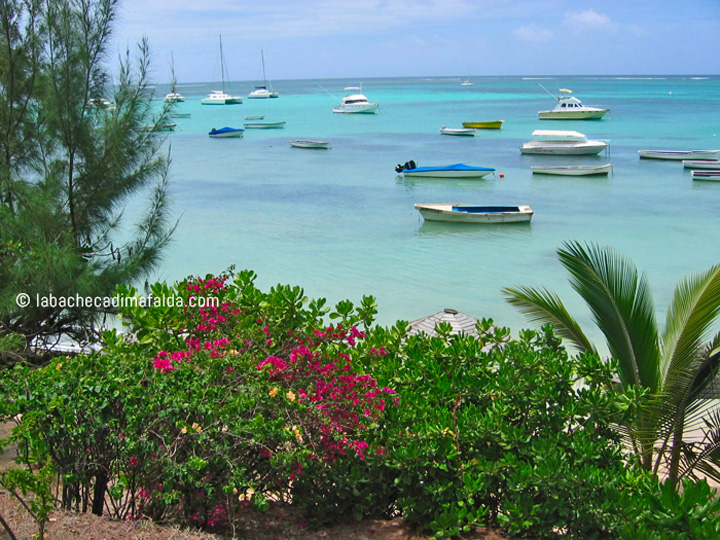 spiaggia bain boeuf mauritius