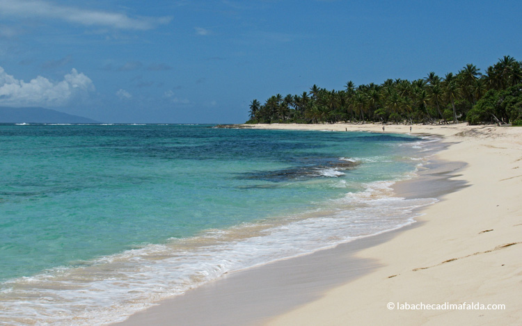 spiaggia feulliere marie galante guadalupa