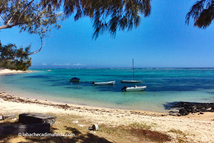 spiaggia mauritius palmar