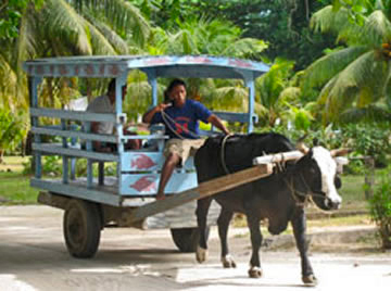 Seychelles La Digue