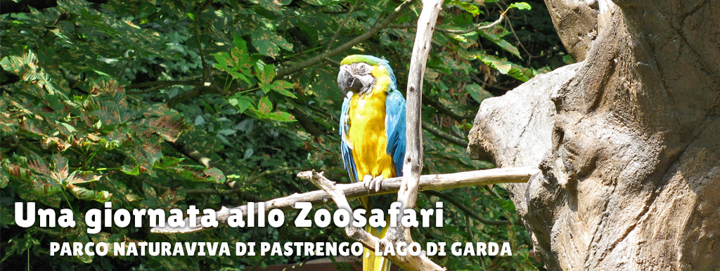 visita zoosafari garda